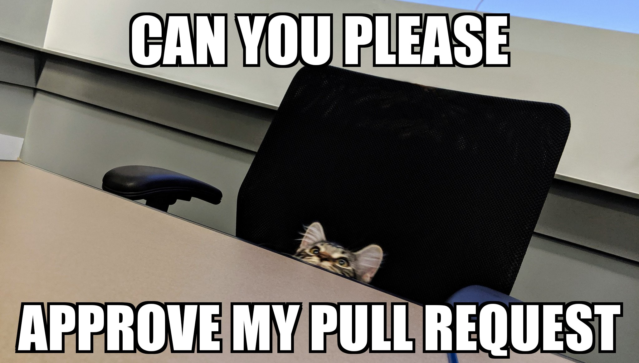 Accept my PR plz